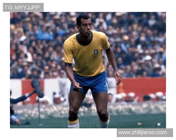 足球历史十大传奇老球星盘点他们的辉煌与影响力